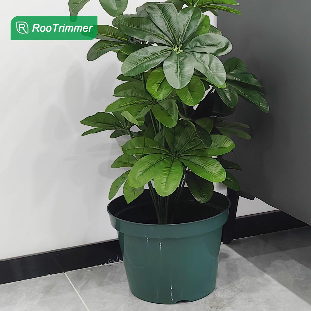 DAPERCI RooTrimmer bottom drainage holes, supports healthy moisture management.