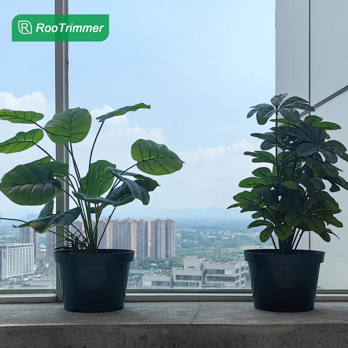 DAPERCI RooTrimmer suitable for outdoor and indoor planting.