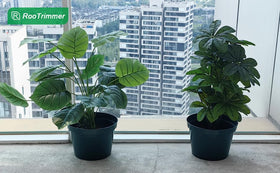 DAPERCI RooTrimmer smooth rim, comfortable handling during transplanting.