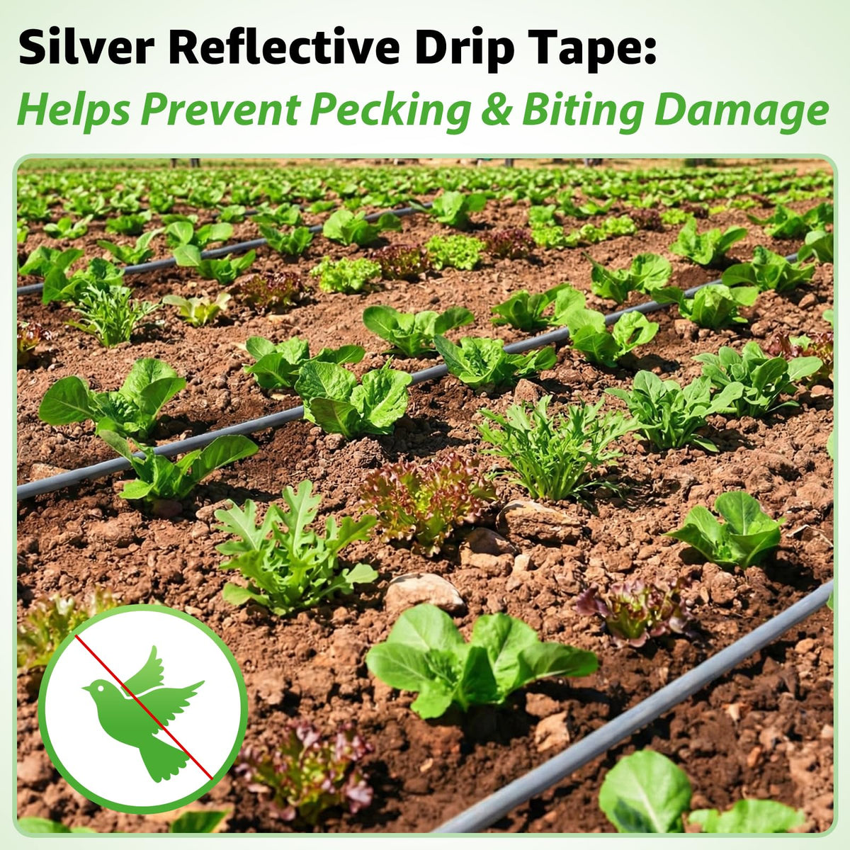 DarkTank 80% water savings with 0.8 GPH emitters for efficient irrigation