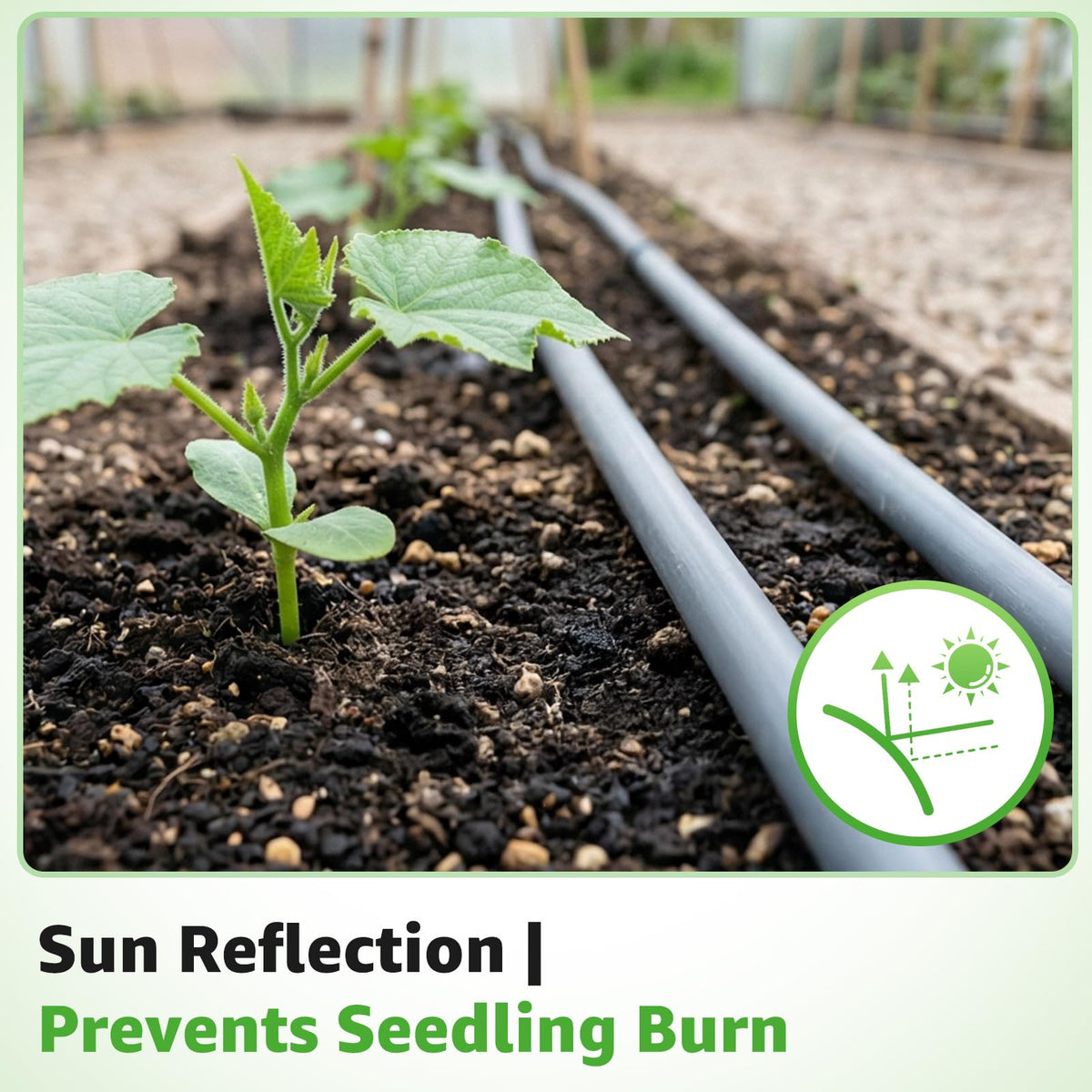 DarkTank versatile irrigation for garden, farm, greenhouse, and patio