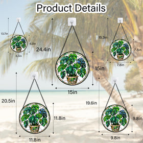 DASTOLL versatile decor for windows, doors, and porches with easy display.