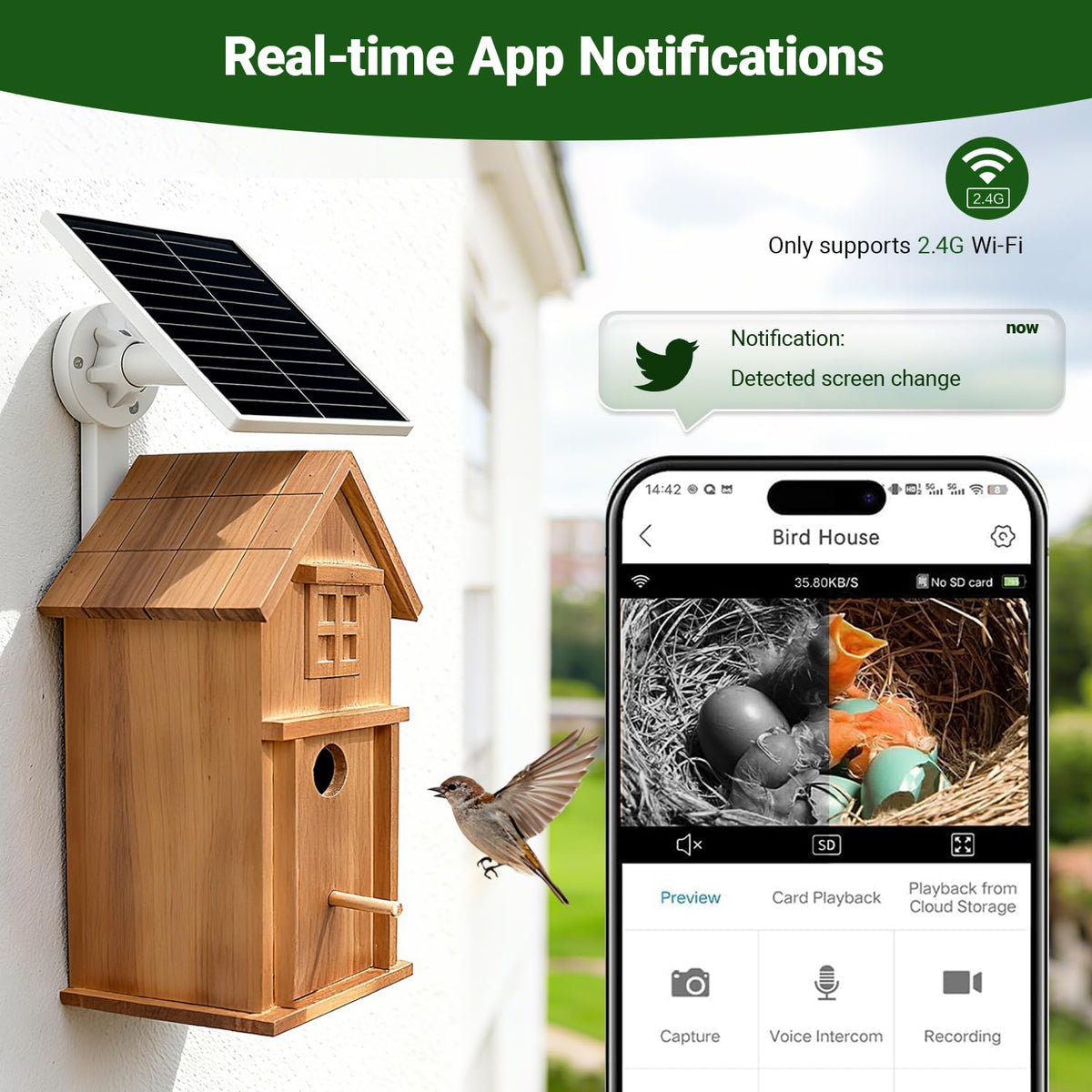Daulpell 32gb memory card ensures long-term storage of nest photos and videos