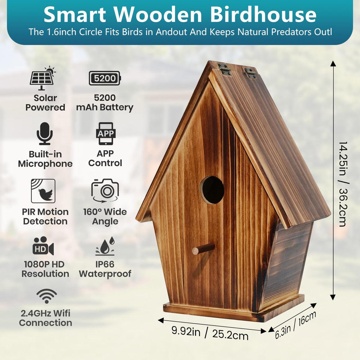 Daulpell 32GB memory card stores photos and videos for easy archiving.