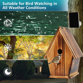 Daulpell app notifications keep you updated on nest activity.