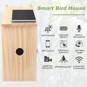 Daulpell Smart Bird House camera interior provides 1080p clarity for detailed bird watching.