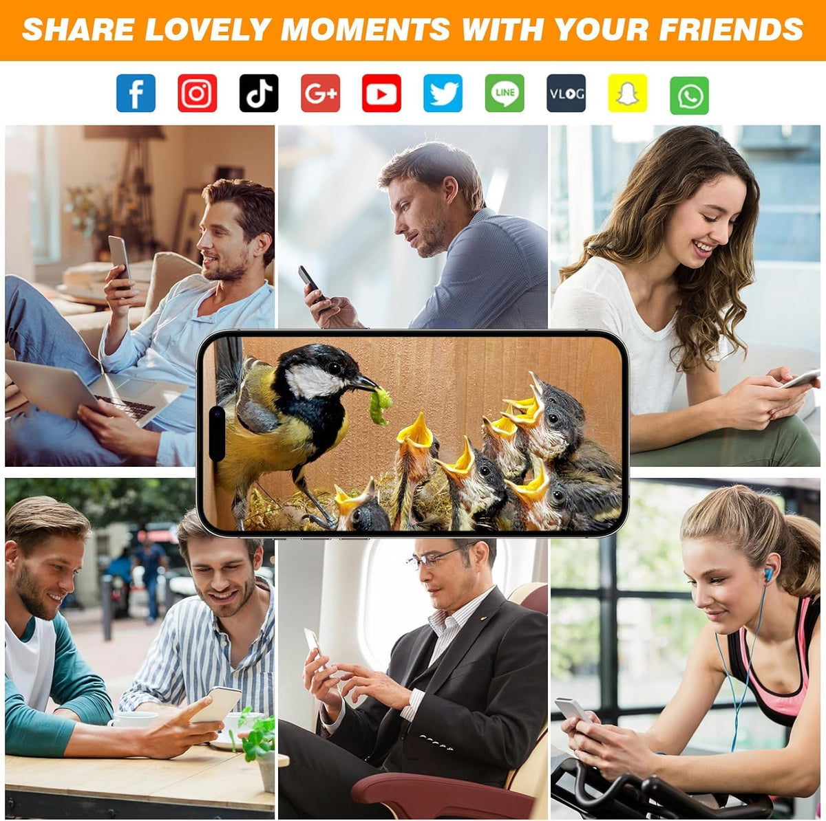 Daulpell Smart Bird House installation tools facilitate quick outdoor setup.