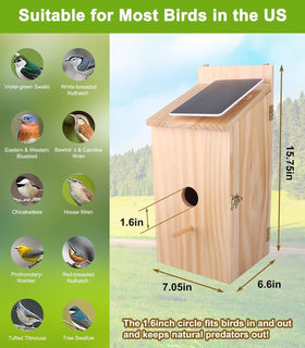 Daulpell Smart Bird House nest interior offers a cozy, safe space for nesting.