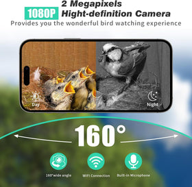 Daulpell Smart Bird House night vision captures birds clearly after dark.
