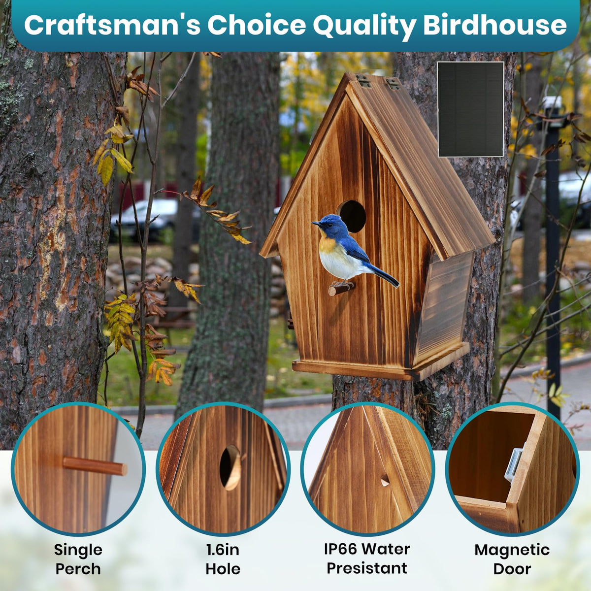 Daulpell Smart Bird House solar panel powers the camera for continuous outdoor monitoring.