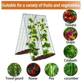 DAVIGADEN foldable plant support easy off-season storage