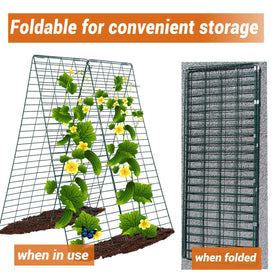DAVIGADEN green bean trellis for outdoor use with durable frame