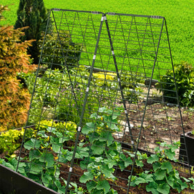 DAVIGADEN outdoor trellis setup for versatile garden space