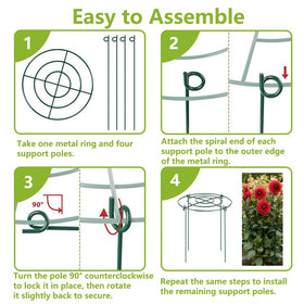 DAYUMKOU indoor plant support keeps seedlings upright and tidy