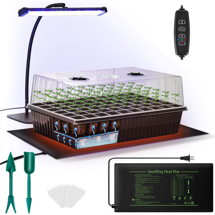 DazSpirit 60-cell seed starter kit with grow light supports steady germination and healthy seedlings.