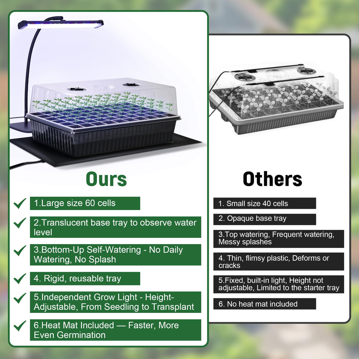 DazSpirit mini gardening tools included for easy transplanting and care.