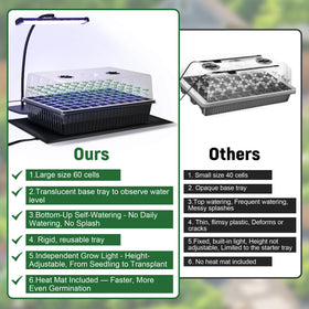 DazSpirit mini gardening tools included for easy transplanting and care.