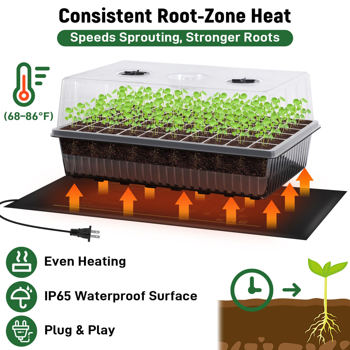 DazSpirit seed labels help you track varieties and growth stages.