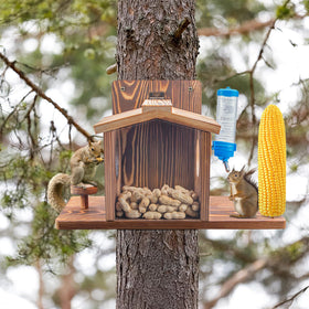 Dazuiniao Squirrel Feeder hanging picnic table design for versatile placement