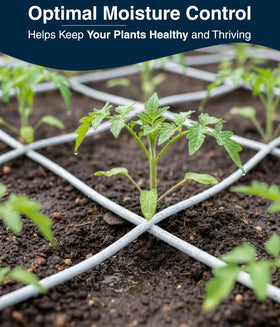DBR Tech window box irrigation for targeted watering in small spaces