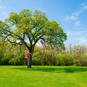 DC DCTOY Memorial Day and 4th of July decor with durable nylon