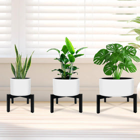 DDPow indoor-outdoor compatible for versatile plant arrangements.