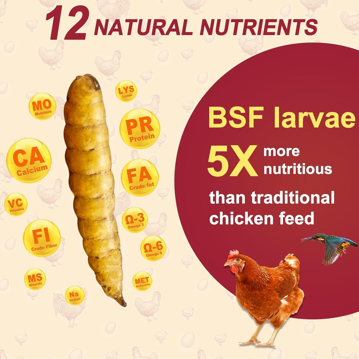DE AVILA 10 lb bag of dried BSF larvae for poultry and birds