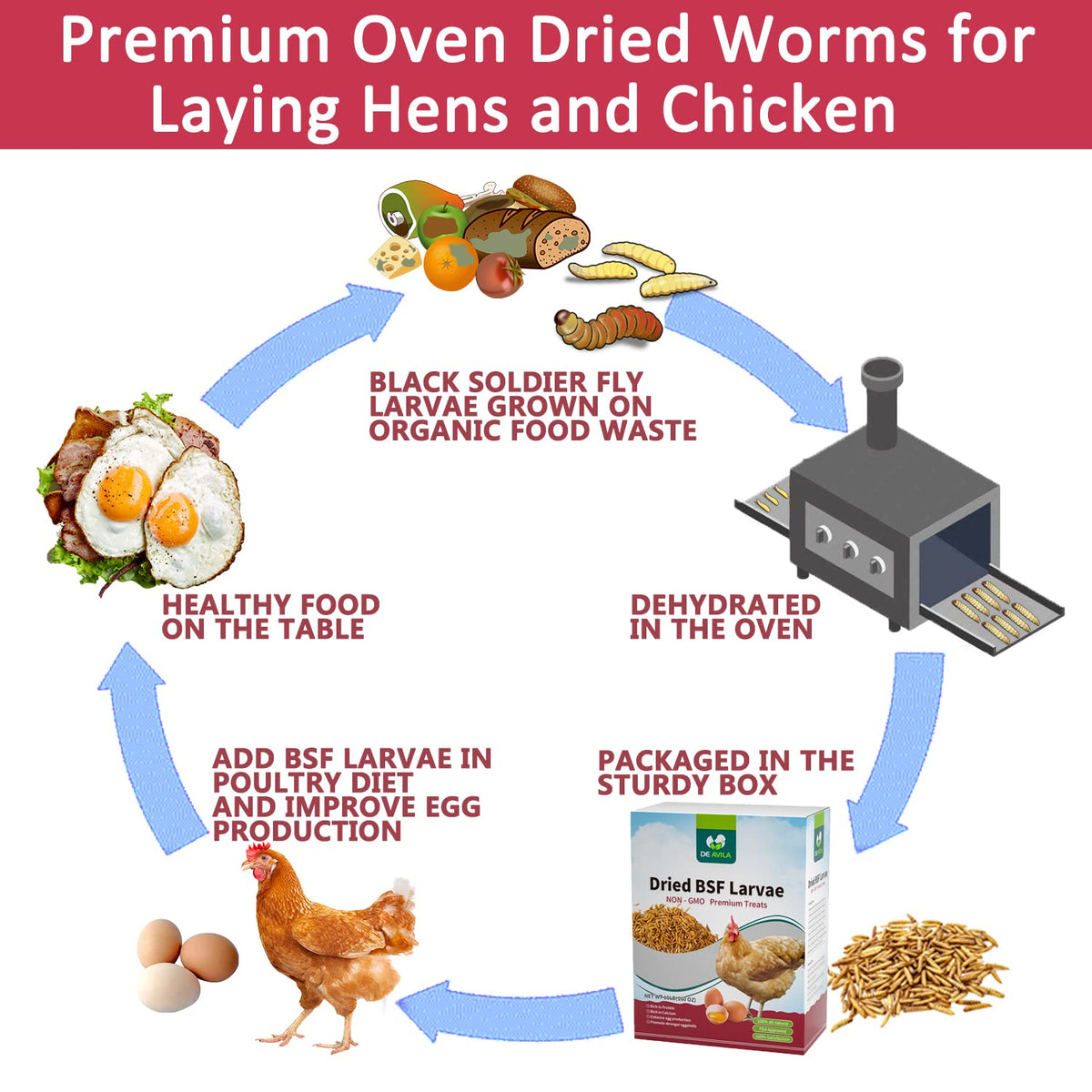 DE AVILA non-GMO USA-made BSF larvae offer natural, additive-free feeding