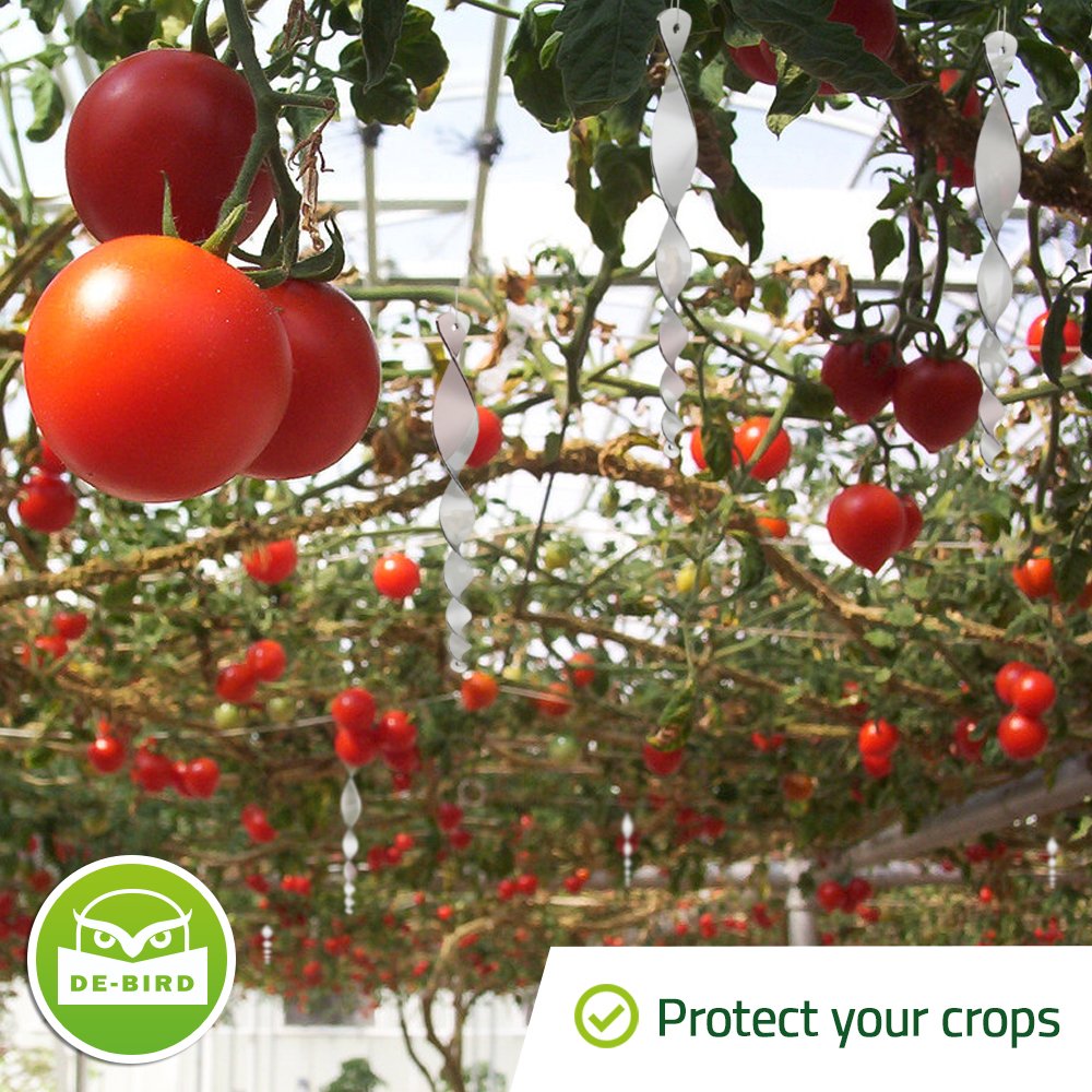 De-Bird easy-install kit keeps fruit trees safe with simple string setup.