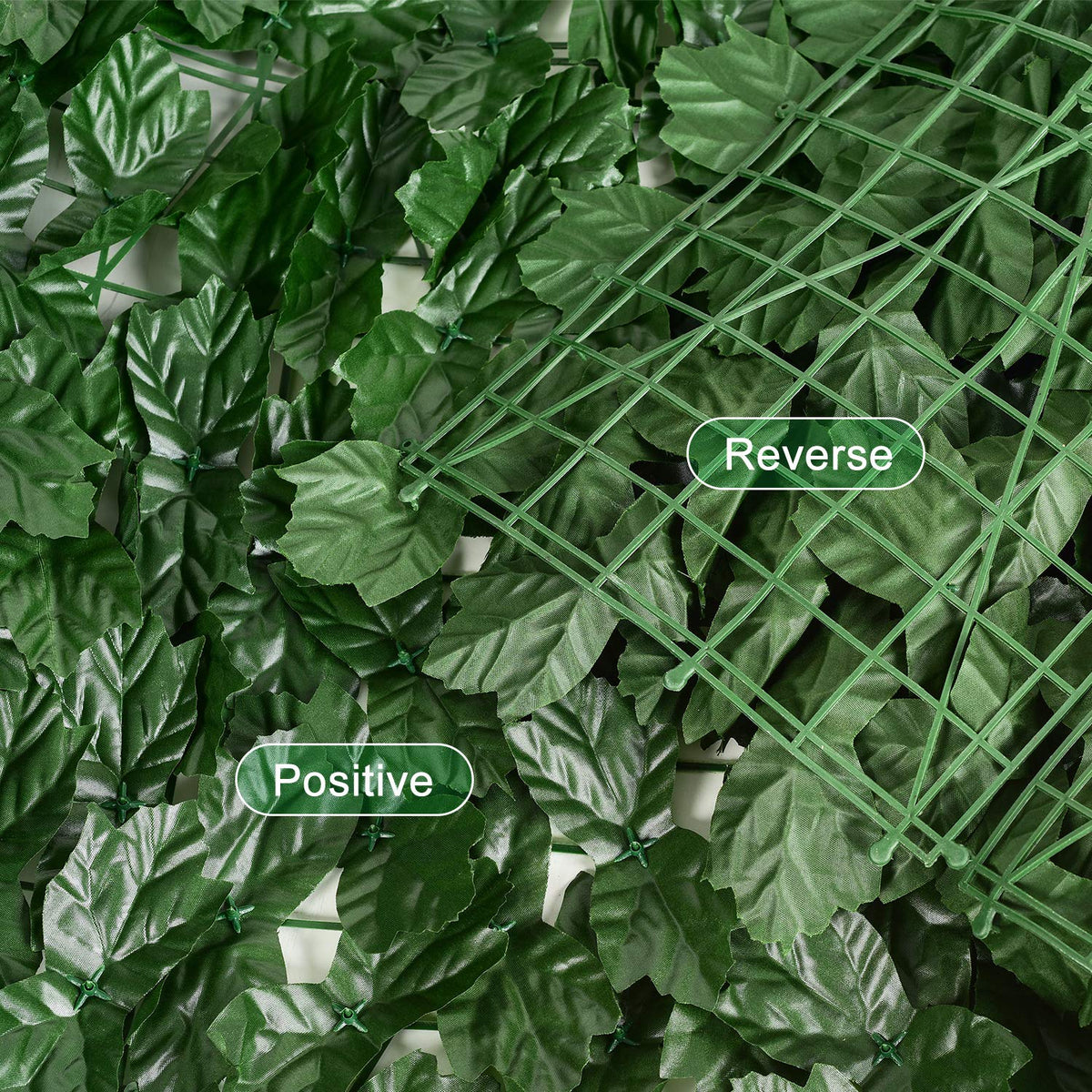 Full-size DearHouse ivy privacy fence demonstrates scale and coverage for large spaces
