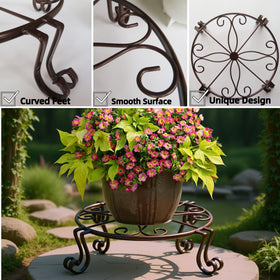 Ideal for patios, balconies, gardens, or indoor plant corners.