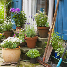 DEAYOU garden-decorative-spikes-in-action brighten pots while supporting plant care.