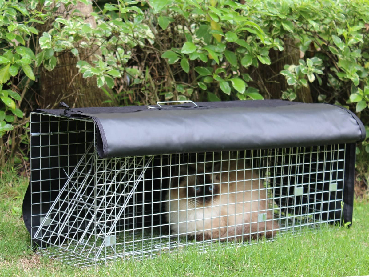 Deblue trap cage cover on-trap demonstrates simple, discreet setup.