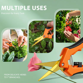 Gift ready Decerk garden pruning set on display