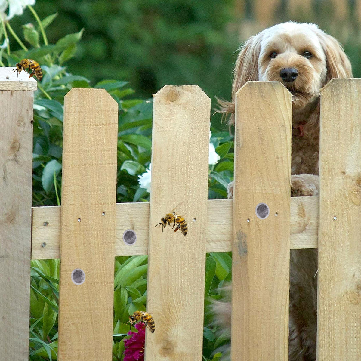 DECOHS 100-piece bee plug kit provides durable year round protection