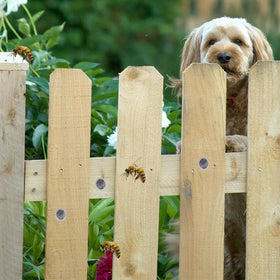 DECOHS 100-piece bee plug kit provides durable year round protection