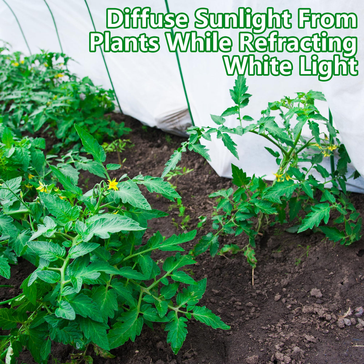 DECOHS shade cloth hanging setup demonstrates easy installation.