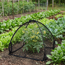 DECOHS foldable storage keeps the protective net compact when not in use.