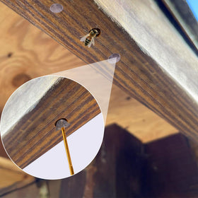 DECOHS honeycomb hole filler patch blends with outdoor wooden surfaces