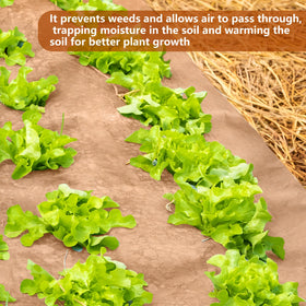DECOHS kraft paper barrier integrates into garden beds and plots