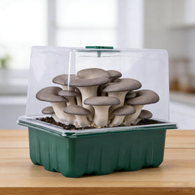 DECOHS Monotub versatility for home horticulture and education activities.