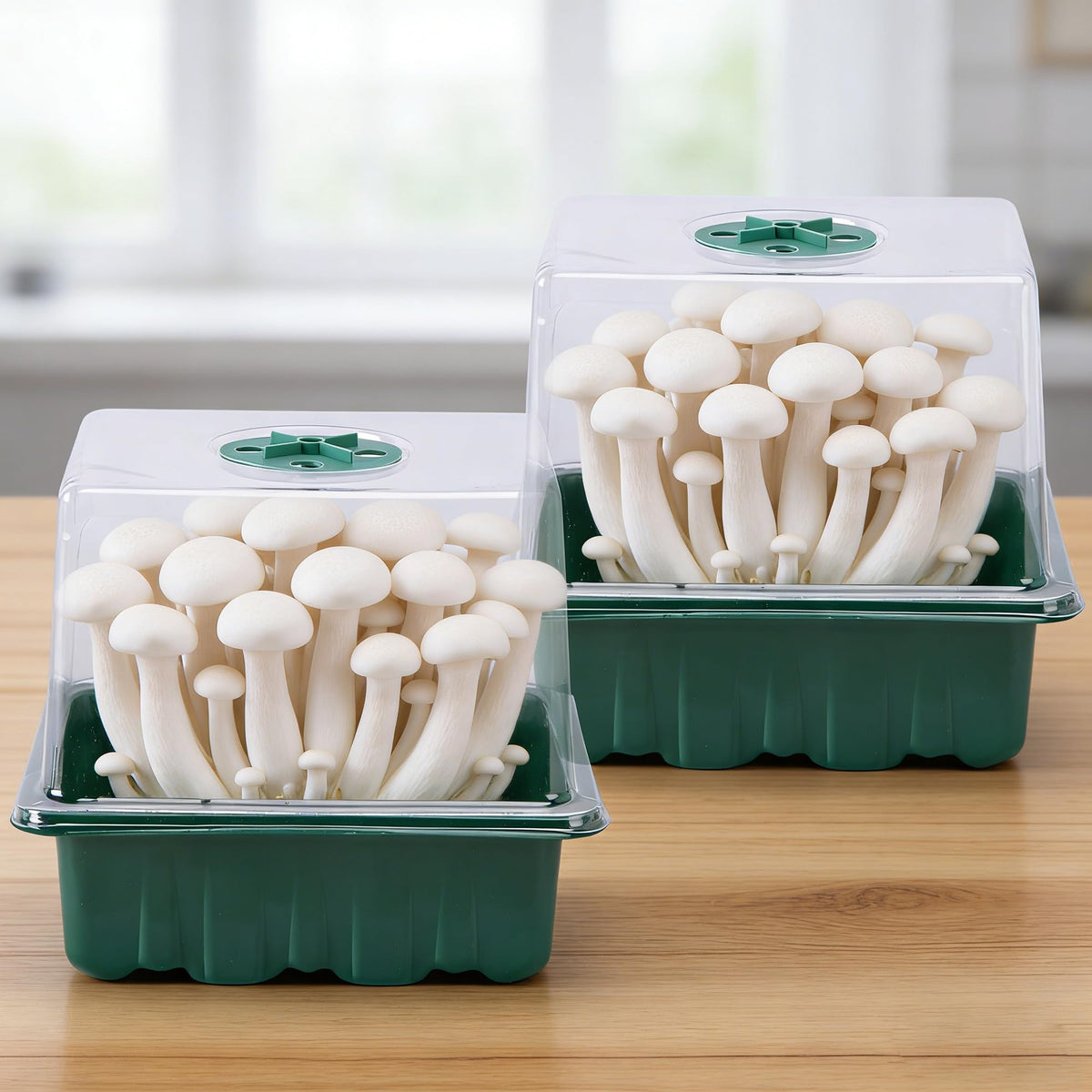 DECOHS Monotub makes a thoughtful gift for chefs and food lovers.