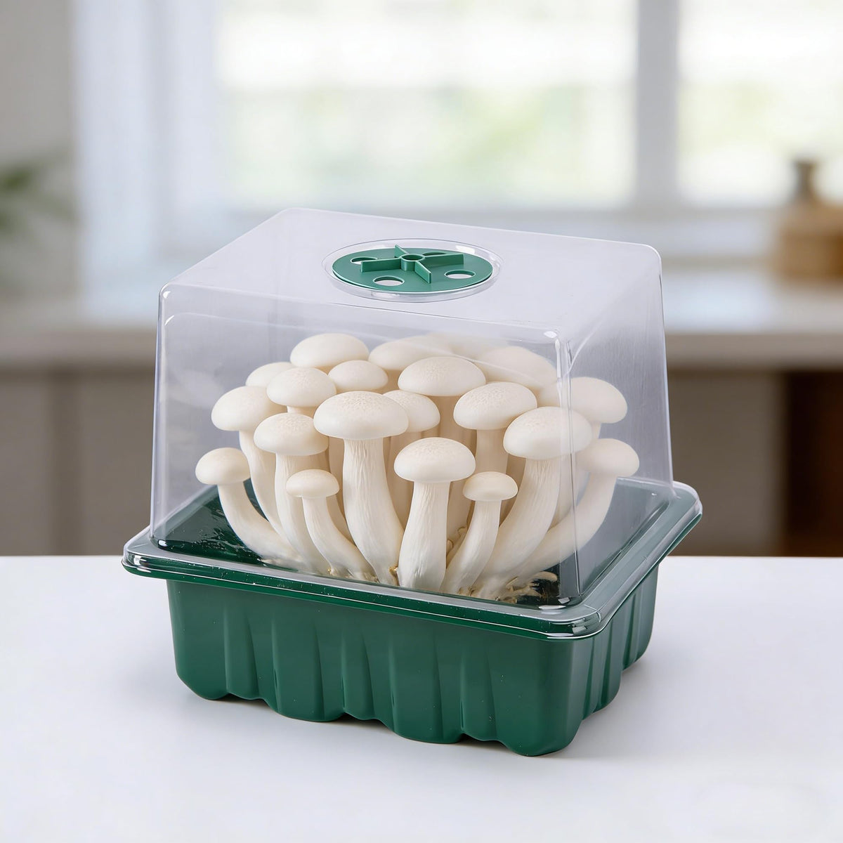 DECOHS Monotub plastic chamber is lightweight, durable, and reusable.