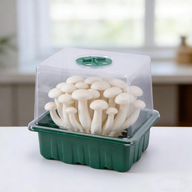 DECOHS Monotub plastic chamber is lightweight, durable, and reusable.