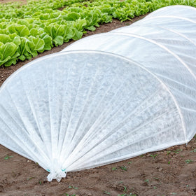DECOHS shade cloth in outdoor garden providing diffuse light for healthier turf.