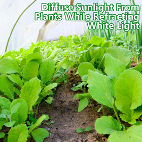 DECOHS outdoor shade supports crops by diffusing UV and lowering surface temperature.