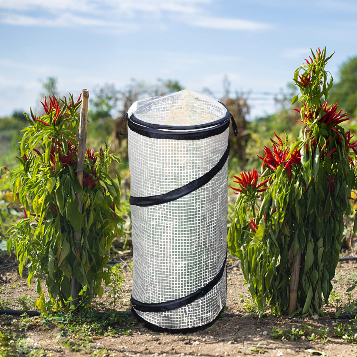 DECOHS two-pack greenhouses offer expanded protection for multiple beds.