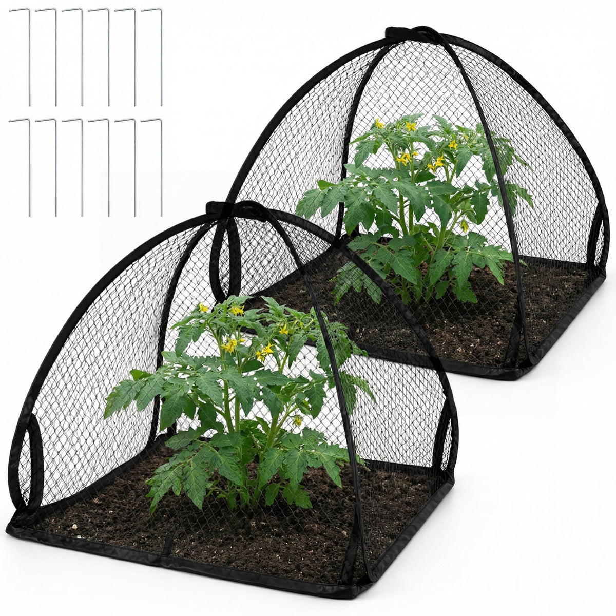 DECOHS pop-up mesh plant cover tent protecting garden plants from birds and insects.