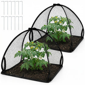 DECOHS pop-up mesh plant cover tent protecting garden plants from birds and insects.