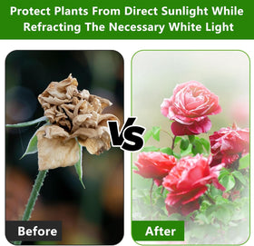 DECOHS shade cover outdoors in garden reduces heat for plants
